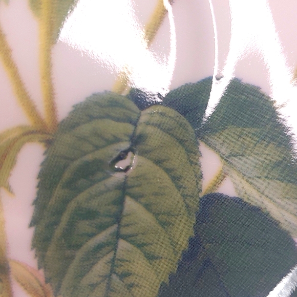 Roy Kirkham Rose Saucer Plates. Set of 2 - Picture 5 of 6